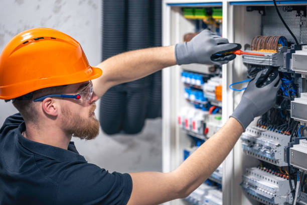Best Electric Panel Repair  in Lovington, NM